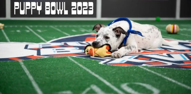 Puppy Bowl 2023