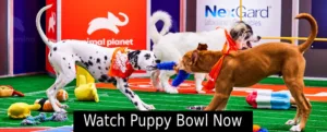 Watch Puppy Bowl