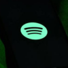 Spotify verification badge